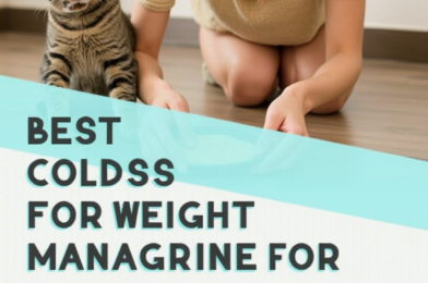 Best Wet Cat Foods for Weight Management